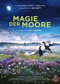 MAGIE DER MOORE