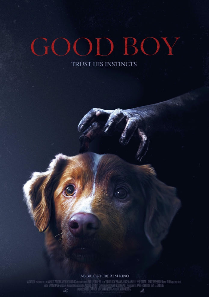 GOOD BOY – TRUST HIS INSTINCTS