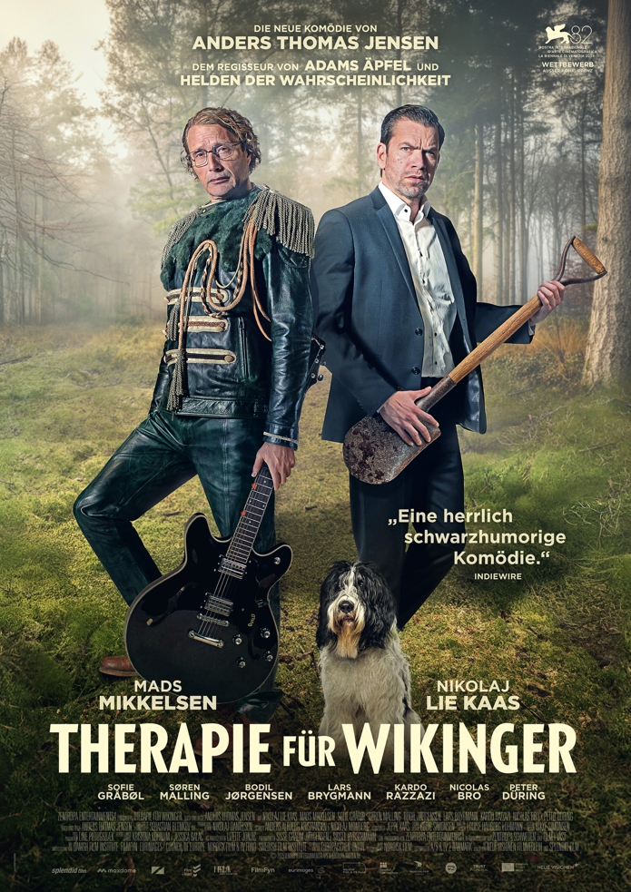 THERAPIE FÜR WIKINGER Poster