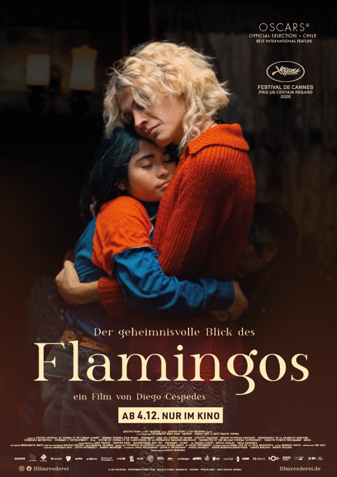 DER GEHEIMNISVOLLE BLICK DES FLAMINGOS