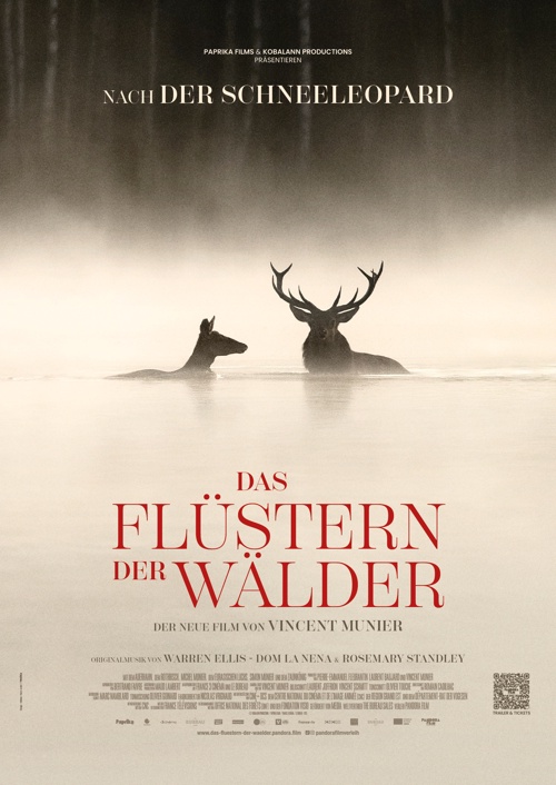 DAS FLÜSTERN DER WÄLDER