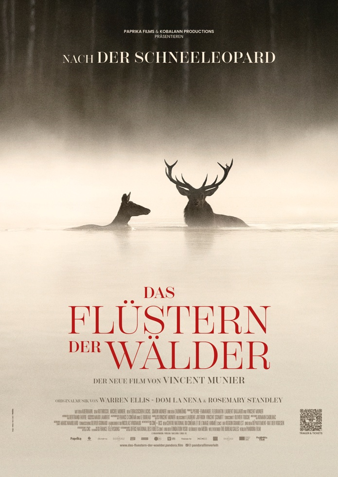 DAS FLÜSTERN DER WÄLDER