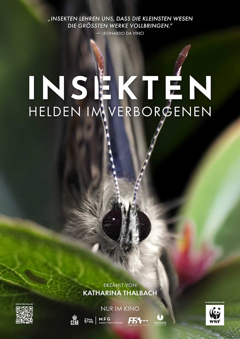 INSEKTEN - HELDEN IM VERBORGENEN