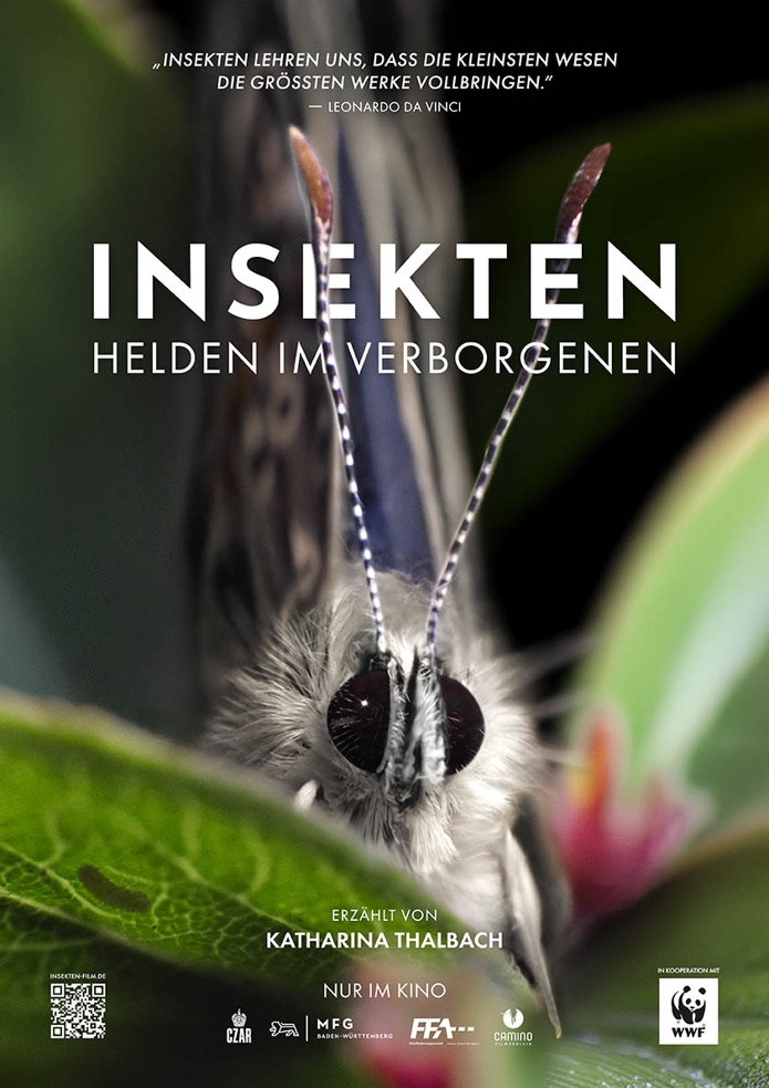 INSEKTEN - HELDEN IM VERBORGENEN