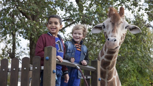 MEIN FREUND, DIE GIRAFFE