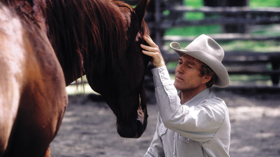 THE HORSE WHISPERER