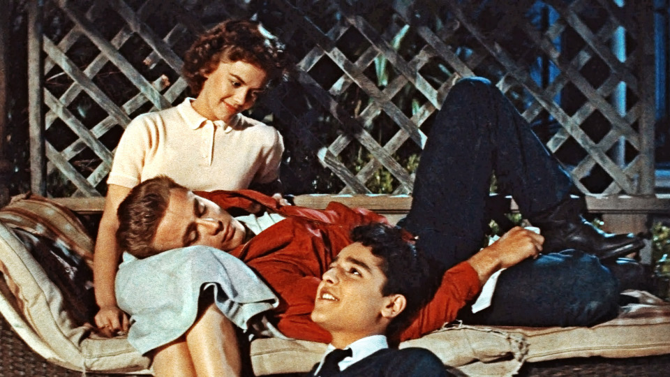REBEL WITHOUT A CAUSE