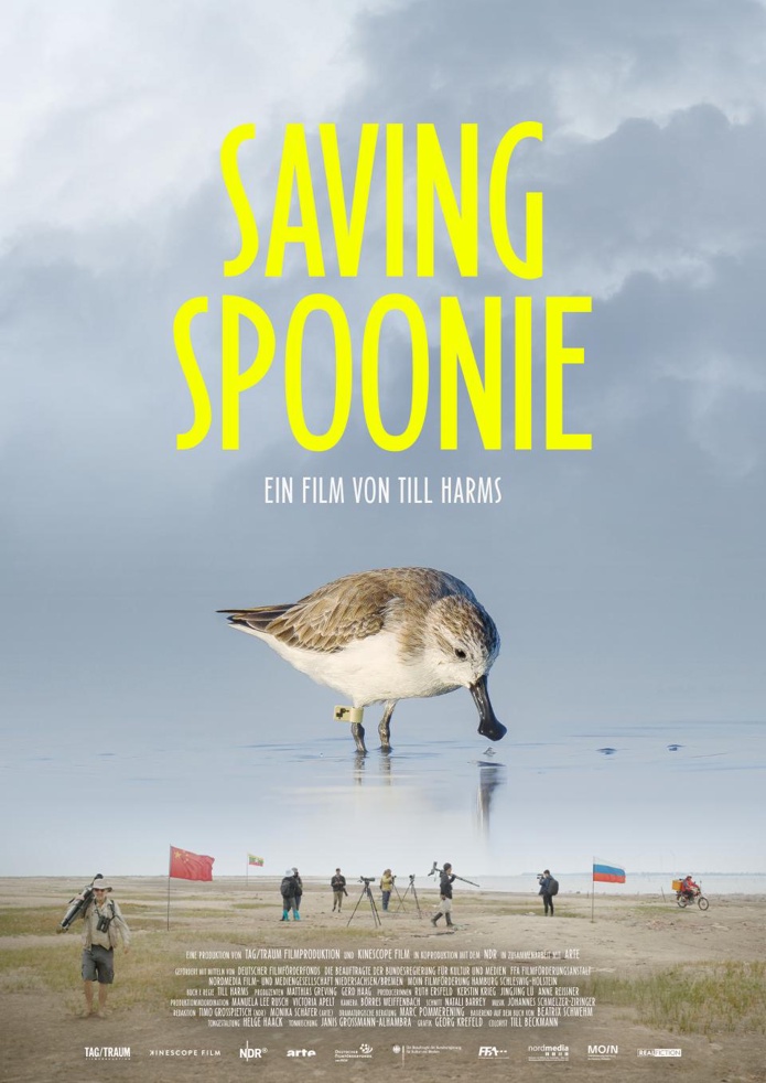 SAVING SPOONIE Poster