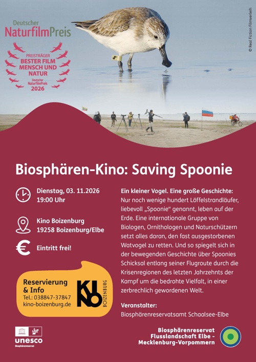 SAVING SPOONIE
