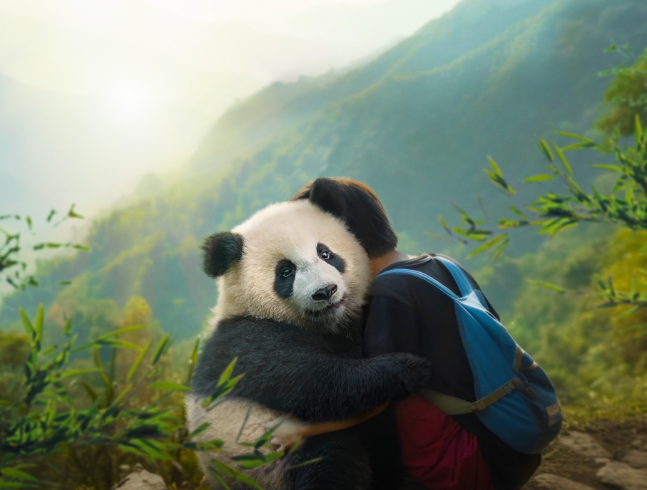 MOON, DER PANDA Szene 2