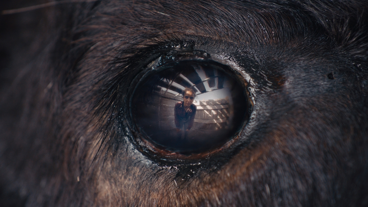 ANIMALE Szene 3