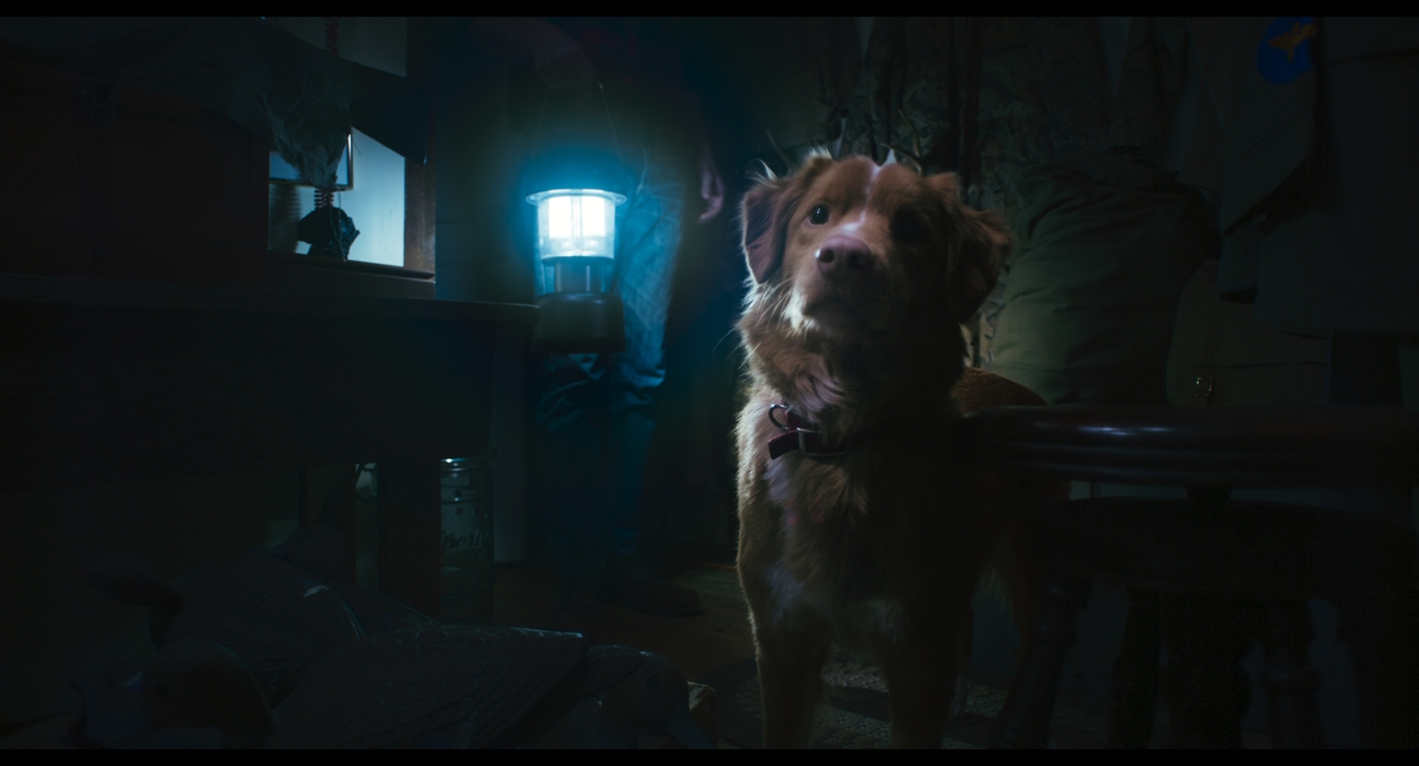 GOOD BOY – TRUST HIS INSTINCTS Szene 2