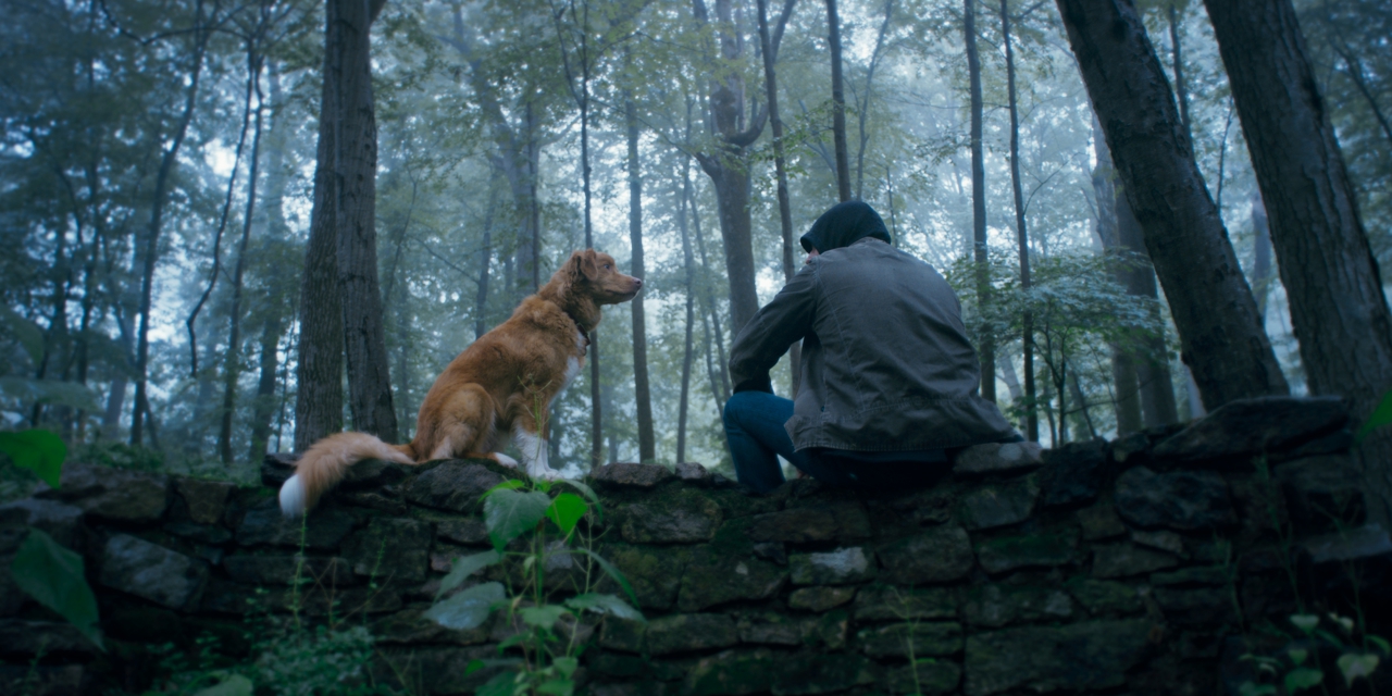 GOOD BOY – TRUST HIS INSTINCTS Szene 3
