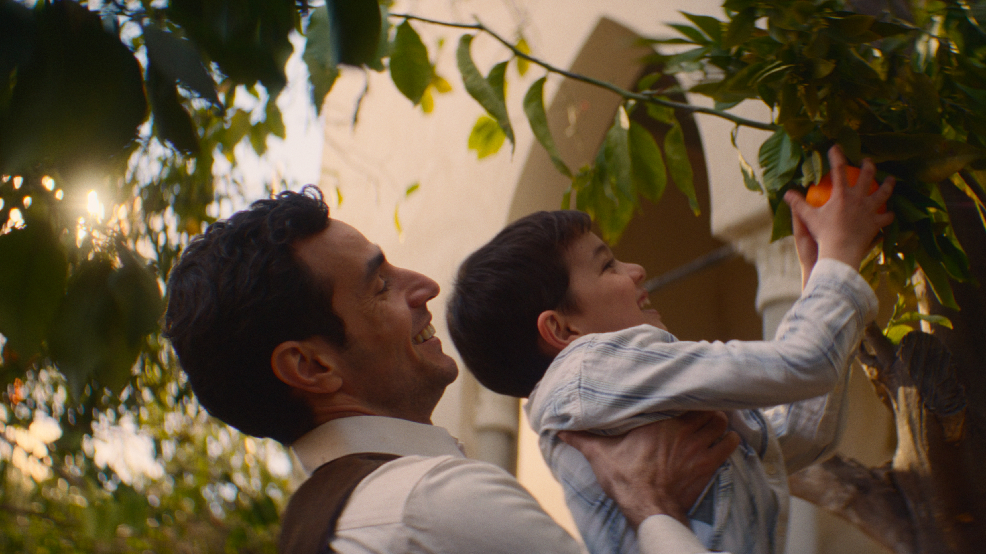 3335522212 3335522212