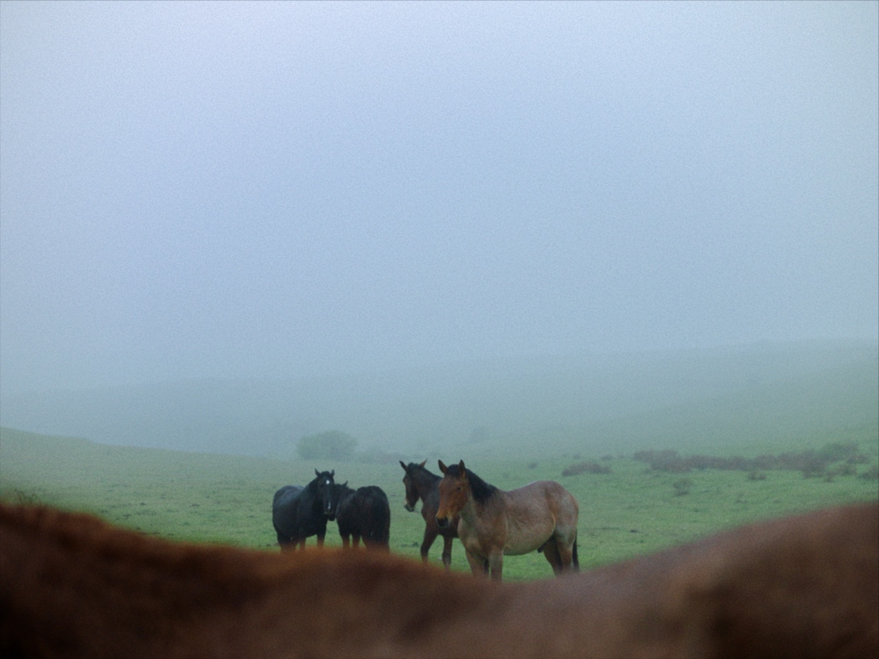 STILLE BEOBACHTER Szene 1