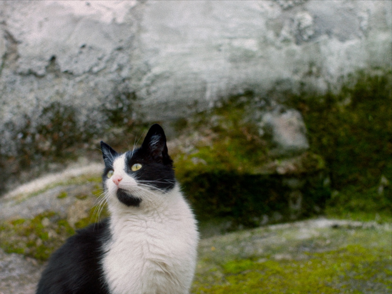 STILLE BEOBACHTER Szene 2