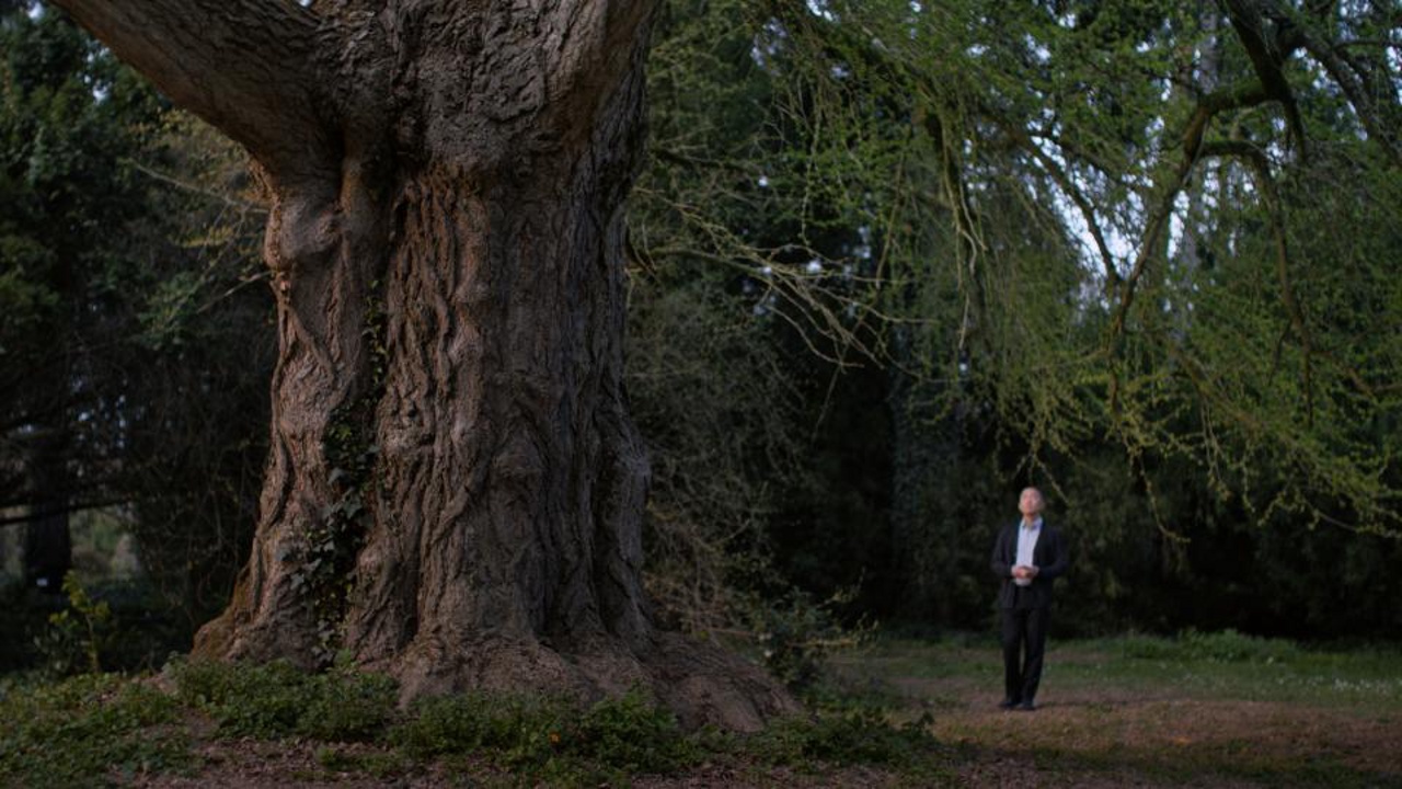 SILENT FRIEND Szene 2