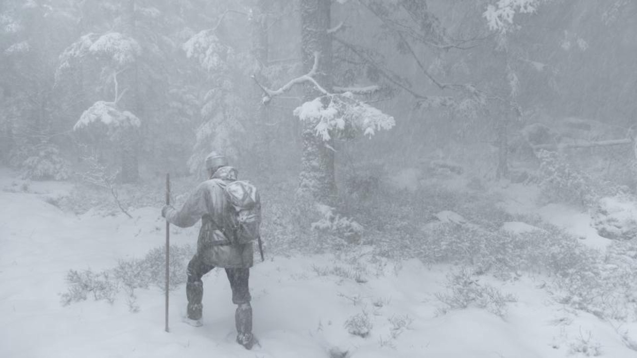 DAS FLÜSTERN DER WÄLDER Szene 2