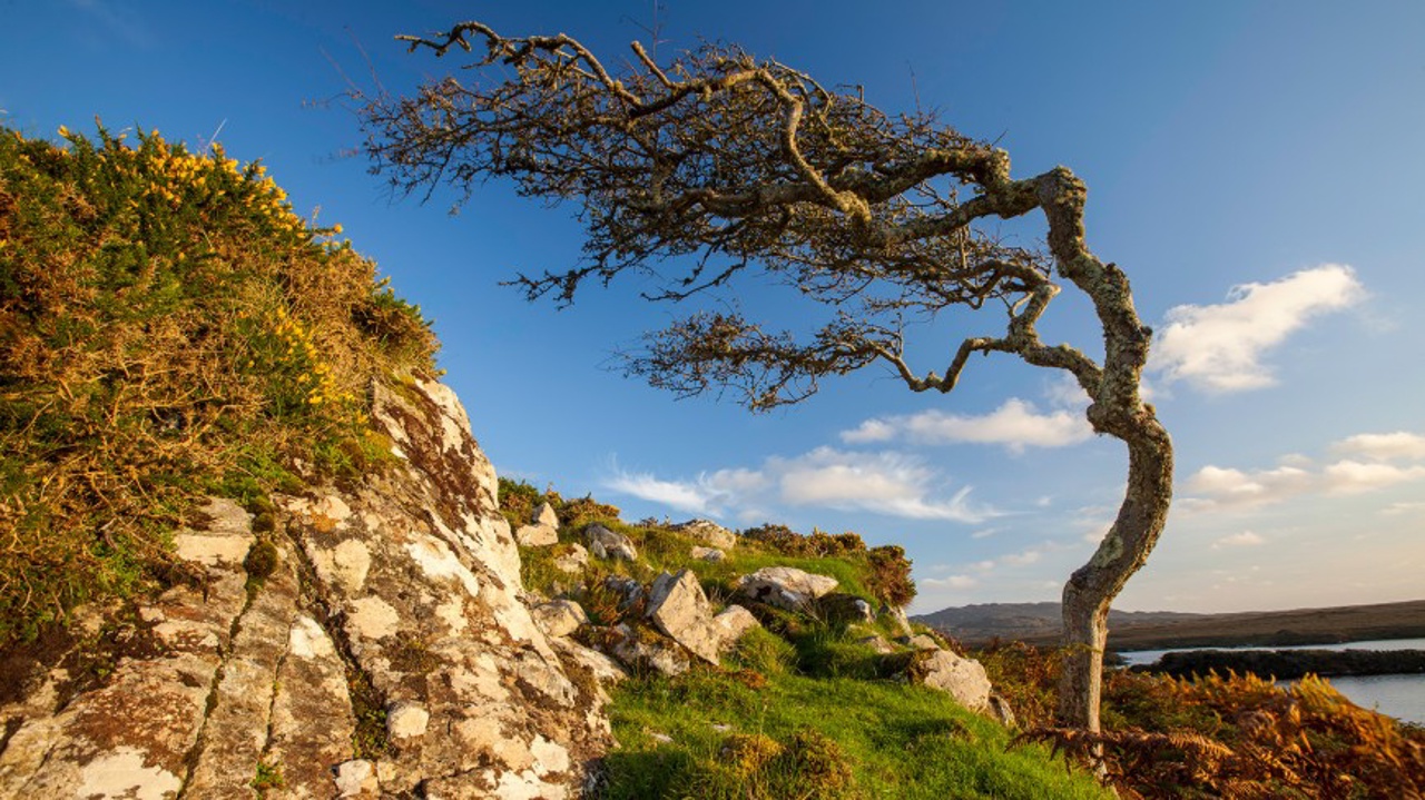 IRLAND – WILD ATLANTIC RIDE Szene 1