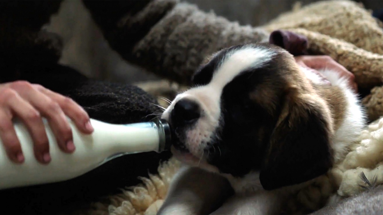 MEIN FREUND BARRY Szene 2