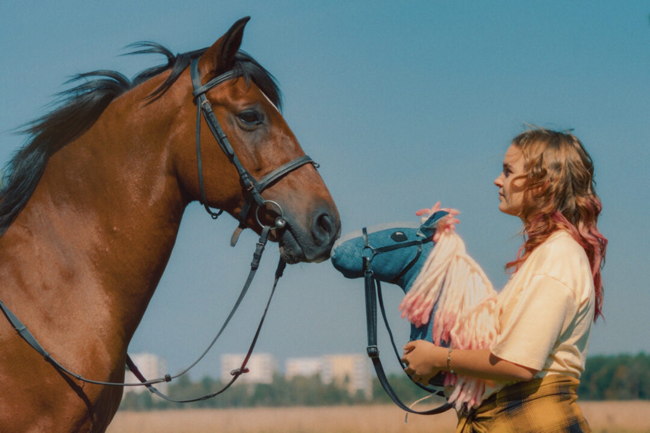 PFERD AM STIEL Szene 3