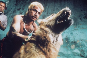 Filmszene 2 – AMORES PERROS (OmU)
