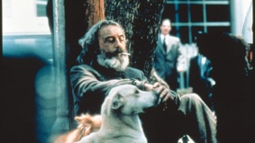 Filmszene 3 – AMORES PERROS (OmU)