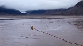 Filmszene 2 – FROST OHNE SCHNEE UND EIS