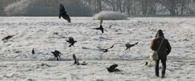 Filmszene 1 – WATCHING PEOPLE WATCHING BIRDS
