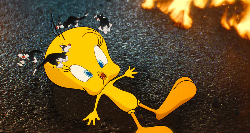 COYOTE VS. ACME