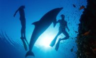 DEEP SEA 3D Szene 1