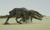 DINOSAURIER LIVE 3D Szene 2